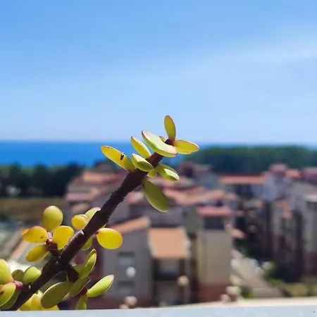 La Finestra Sul Mare 公寓